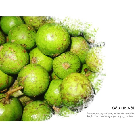 Sấu tươi Hà Nội